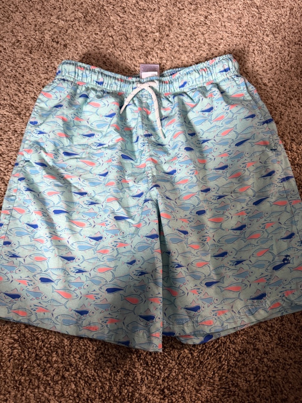 Boys Light blue Fish Print Swim Trunks Beach, Summer, Pool